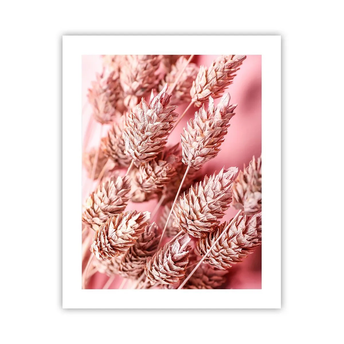 Poster - Cascata di fiori in rosa - 40x50 cm