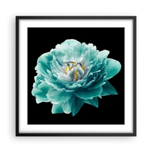 Poster in cornice nera - Petali blu e oro - 50x50 cm