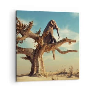 Quadro su tela - Stampe su Tela - Nuovo punto di vista - 50x50 cm