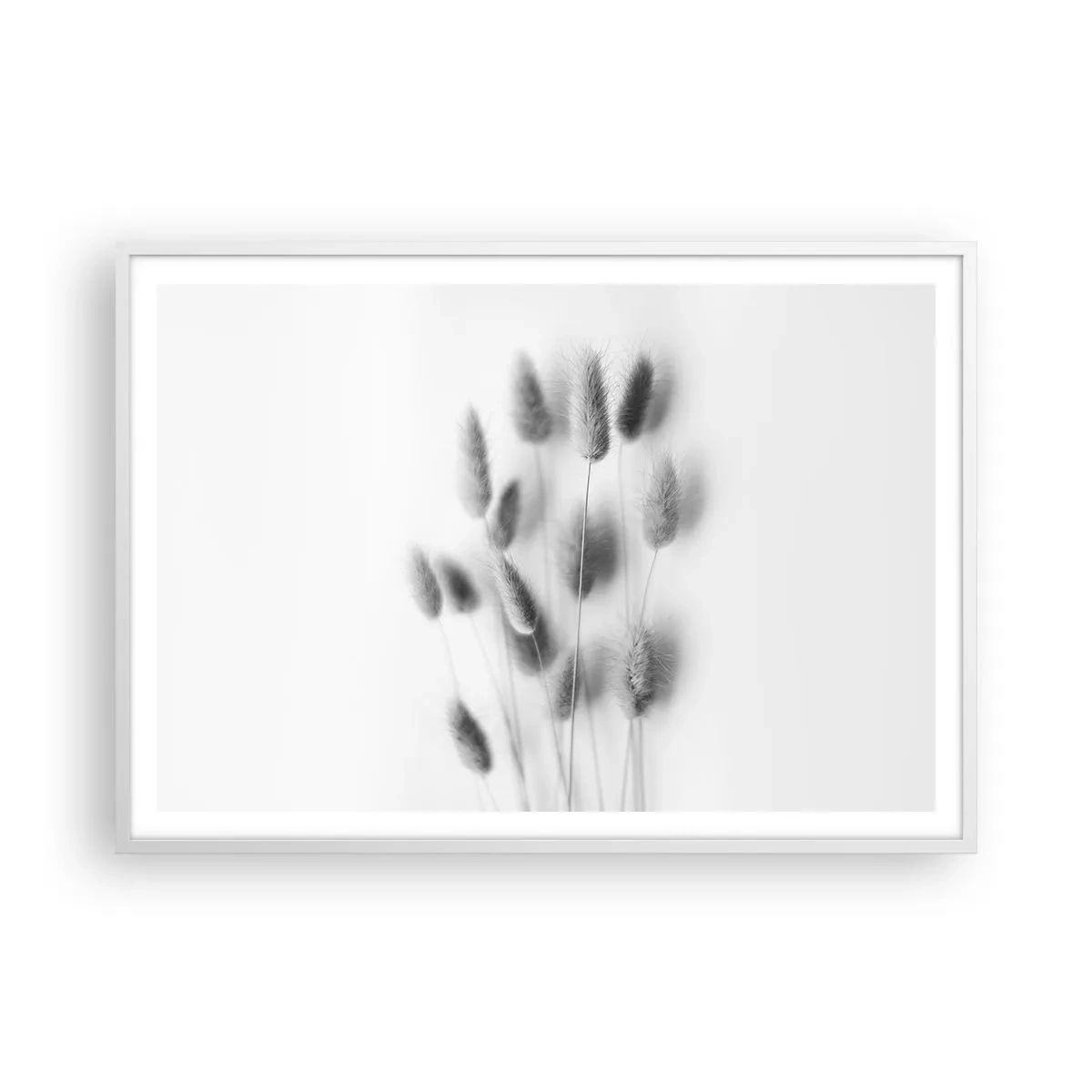 Poster in cornice bianca - Erba soffice - 100x70 cm