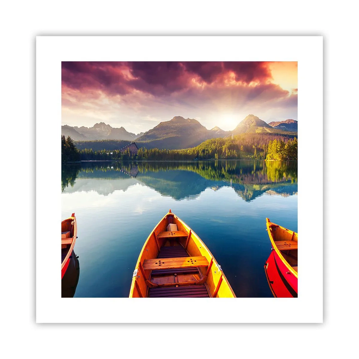 Poster - Niente contro natura - 40x40 cm