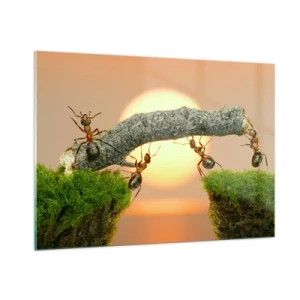 Quadro su vetro - Formiche che costruiscono un ponte al tramonto - 100x70cm - Gioioso lavoro comune - Decorazione murale moderna per soggiorno e camera da letto ARTTOR