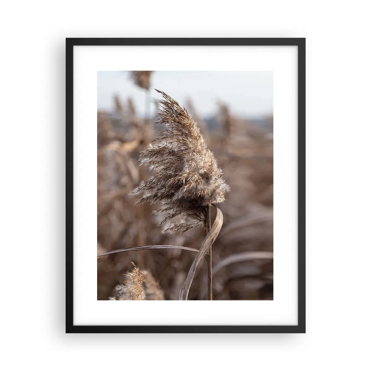 Poster in cornice nera - è tempo di volare col vento - 40x50 cm