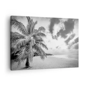 Quadro su tela - Stampe su Tela - Palma bianca e nera su una spiaggia deserta con nuvole - 70x50cm - Quando hai nostalgia della solitudine... - Decorazione murale moderna per soggiorno e camera da letto ARTTOR