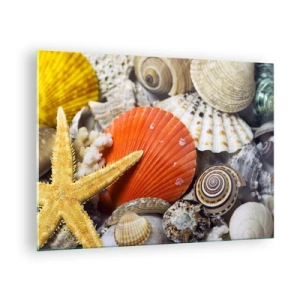 Quadro su vetro - Conchiglie colorate e stelle marine in una composizione marina - 70x50cm - Tesori dell'oceano - Decorazione murale moderna per soggiorno e camera da letto ARTTOR