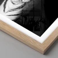 Rovere chiaro