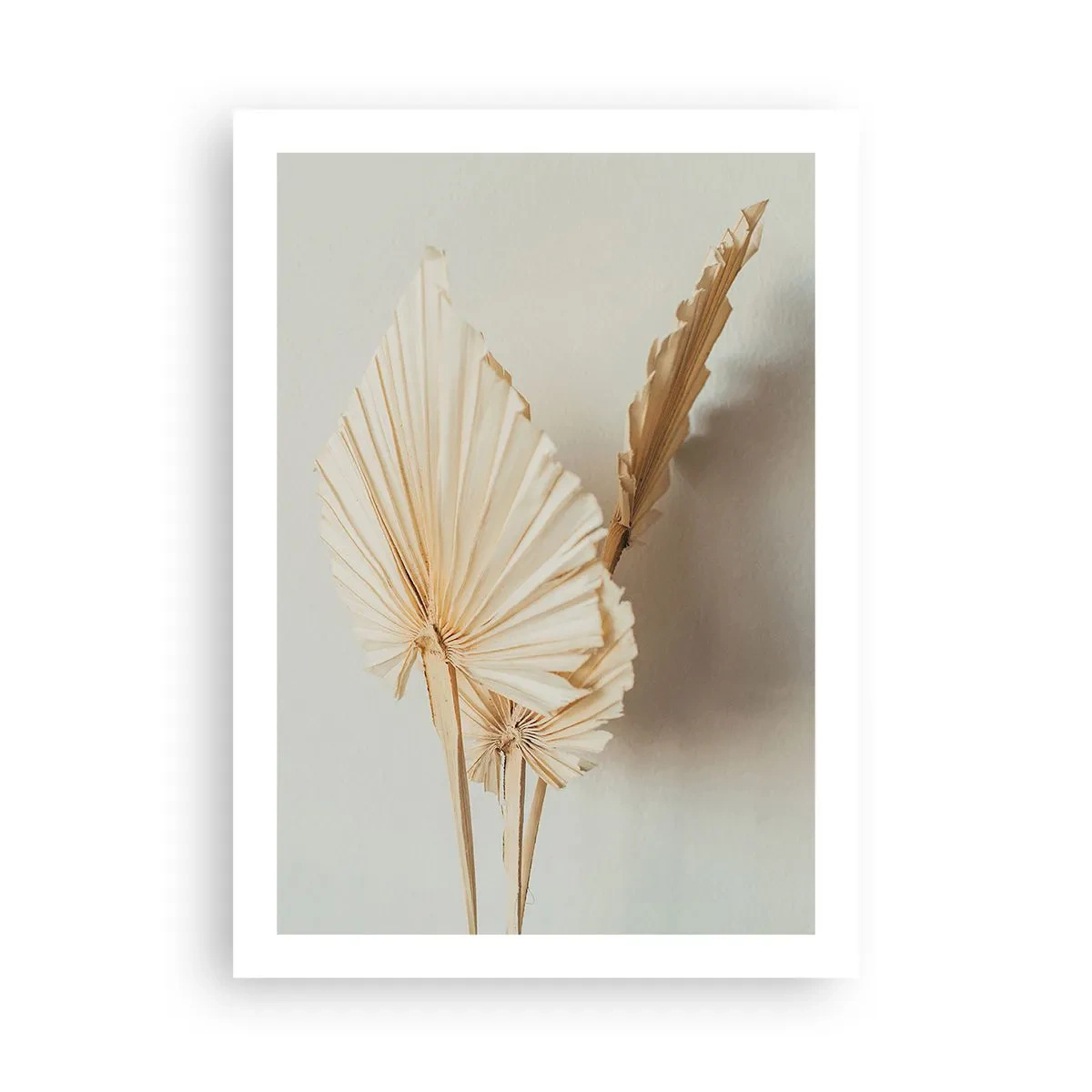 Poster - Foglie di palma secche in una disposizione minimalista su uno sfondo chiaro - 50x70cm - Quando serve il sollievo - Decorazione murale moderna per soggiorno e camera da letto ARTTOR