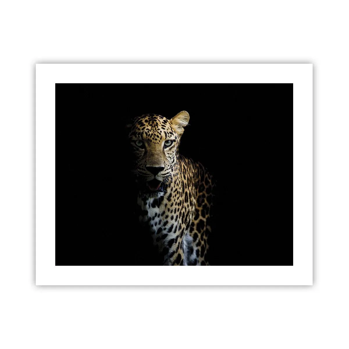 Poster - Bellezza tenebrosa - 50x40 cm