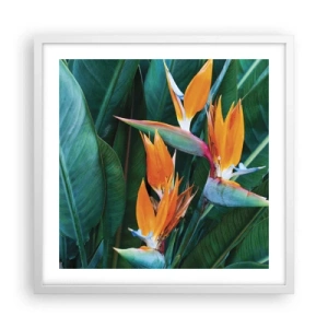 Poster in cornice bianca - È un fiore o un uccello? - 50x50 cm