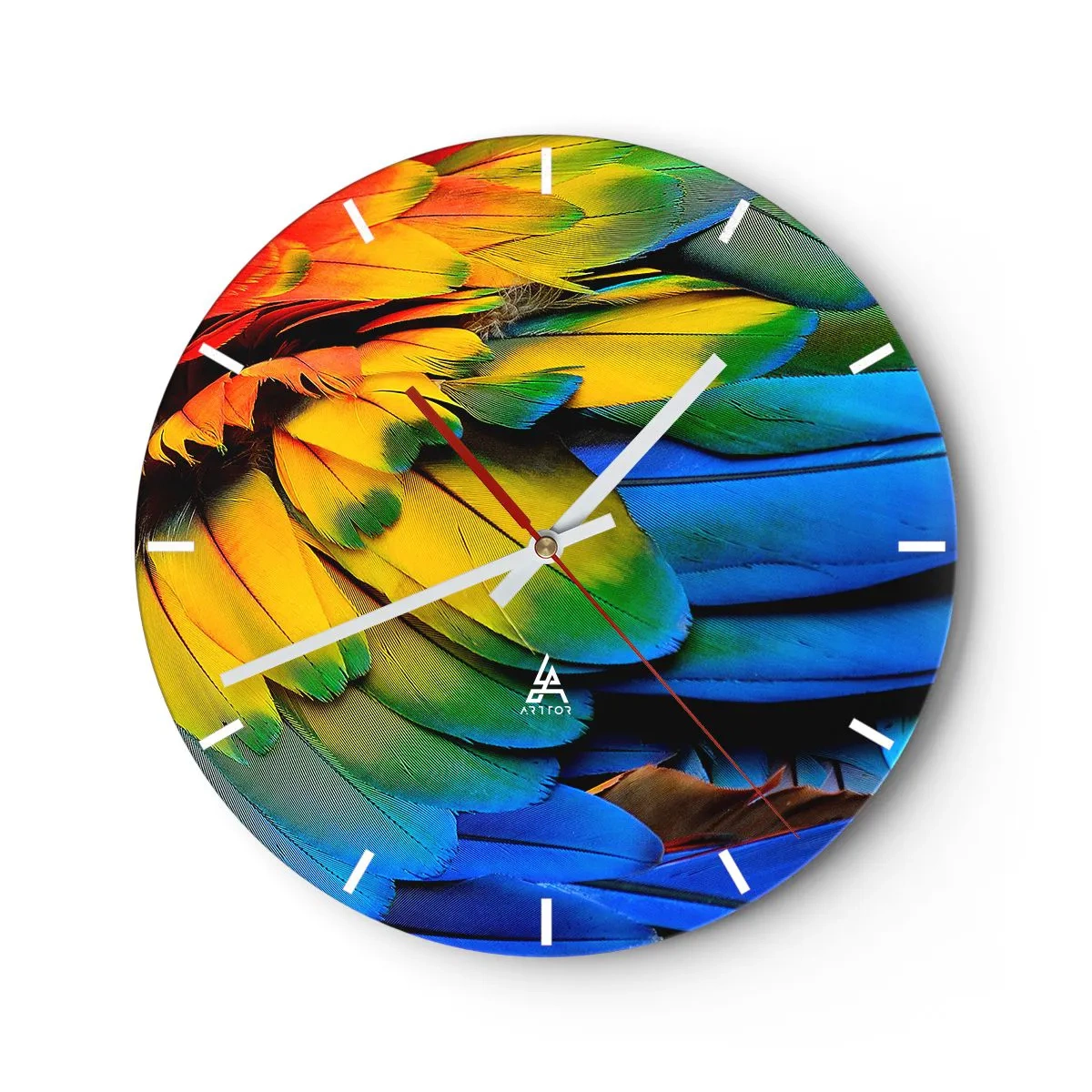 Orologio da parete - Orologio in Vetro - Le piume vibranti di un uccello tropicale - 30x30cm - L'uccello del paradiso - Decorazione murale moderna per soggiorno, cucina e camera da letto ARTTOR