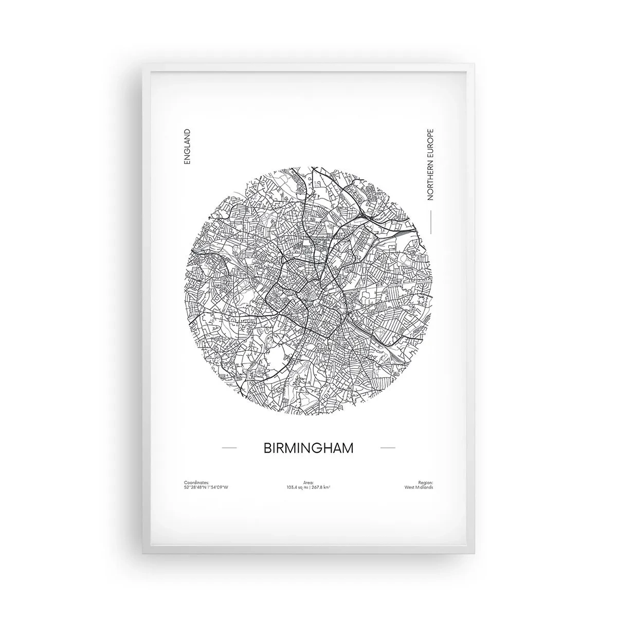 Poster in cornice bianca - Anatomia di Birmingham - 61x91 cm