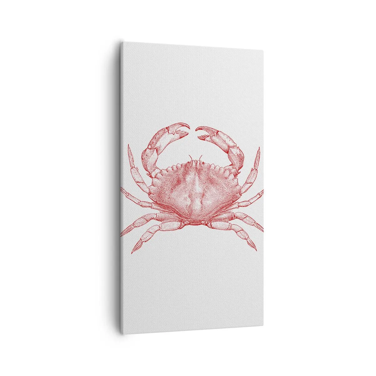 Quadro su tela - Stampe su Tela - Il granchio dei granchi - 55x100 cm