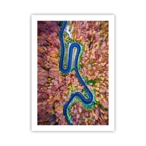 Poster - Una strada tortuosa in una foresta autunnale vista a volo d'uccello - 50x70cm - Via tortuosa attraverso il bosco - Decorazione murale moderna per soggiorno e camera da letto ARTTOR