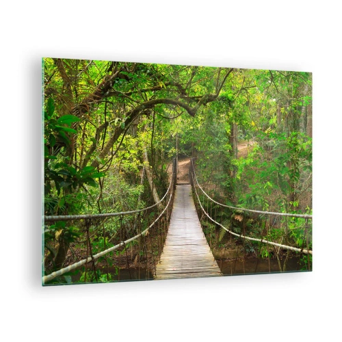Quadro su vetro - Ponte sospeso in una foresta tropicale - 70x50cm - Perché nel giardino crescono i rampicanti - Decorazione murale moderna per soggiorno e camera da letto ARTTOR