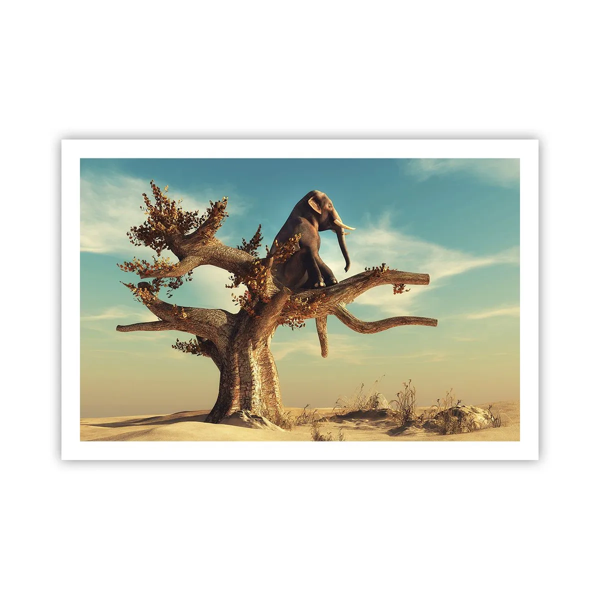 Poster - Nuovo punto di vista - 91x61 cm