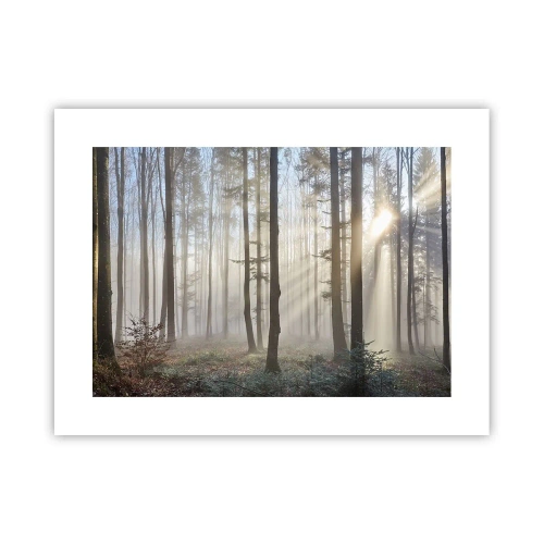 Poster - Anche la nebbia si è svegliata - 40x30 cm