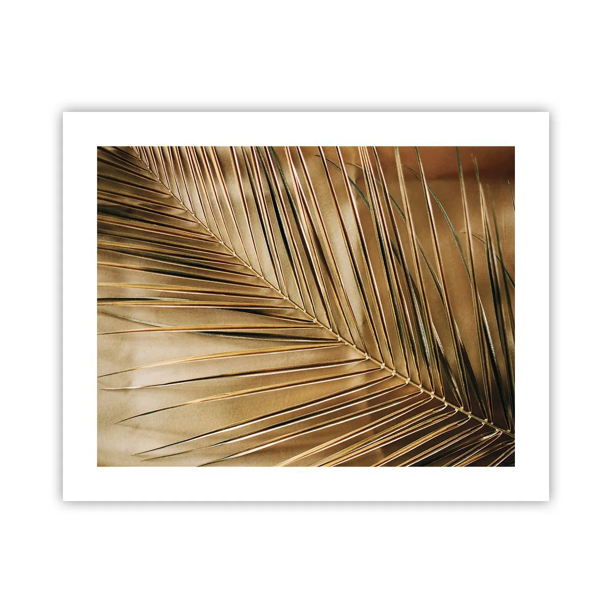 Poster - Colonnato naturale - 50x40 cm