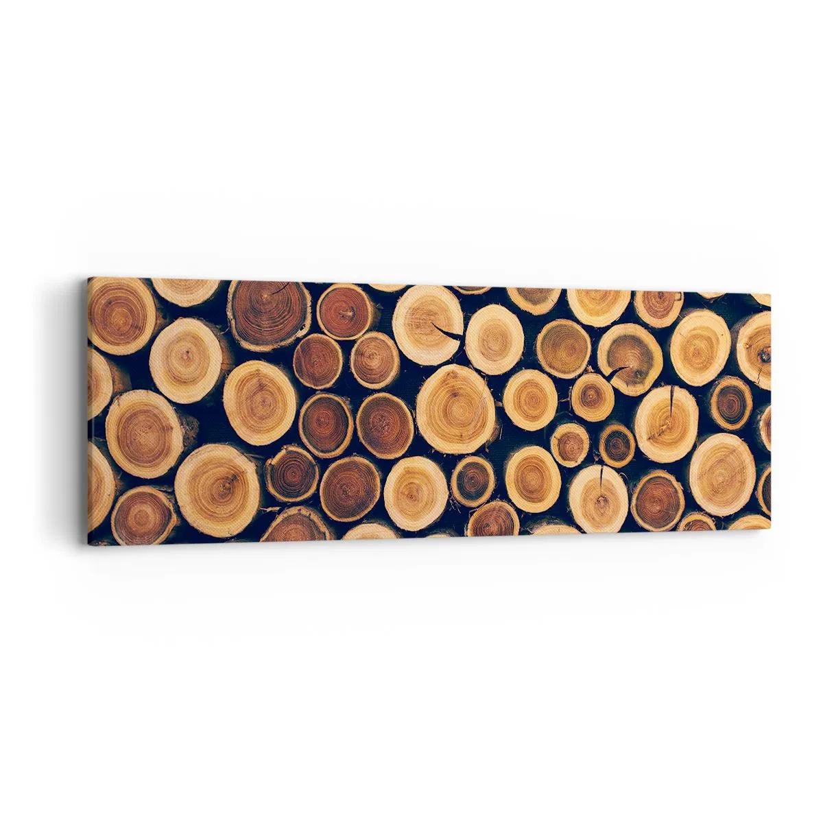 Quadro su tela - Stampe su Tela - Quanti anni mi dai? - 90x30 cm