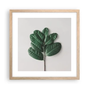 Poster in cornice rovere chiaro - Il disegno della natura stessa - 40x40 cm