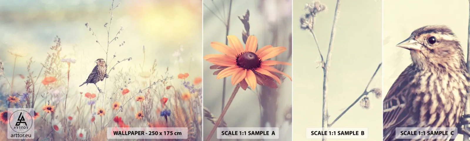 Campione Di Fotomurale Standard Eco - Ritratto d'uccello con prato di sfondo - Uccello, Prato, Natura - 100x30 cm