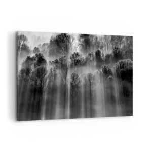 Quadro su tela - Stampe su Tela - Foresta in bianco e nero alla luce del mattino - 120x80cm - Nei getti di luce - Decorazione murale moderna per soggiorno e camera da letto ARTTOR