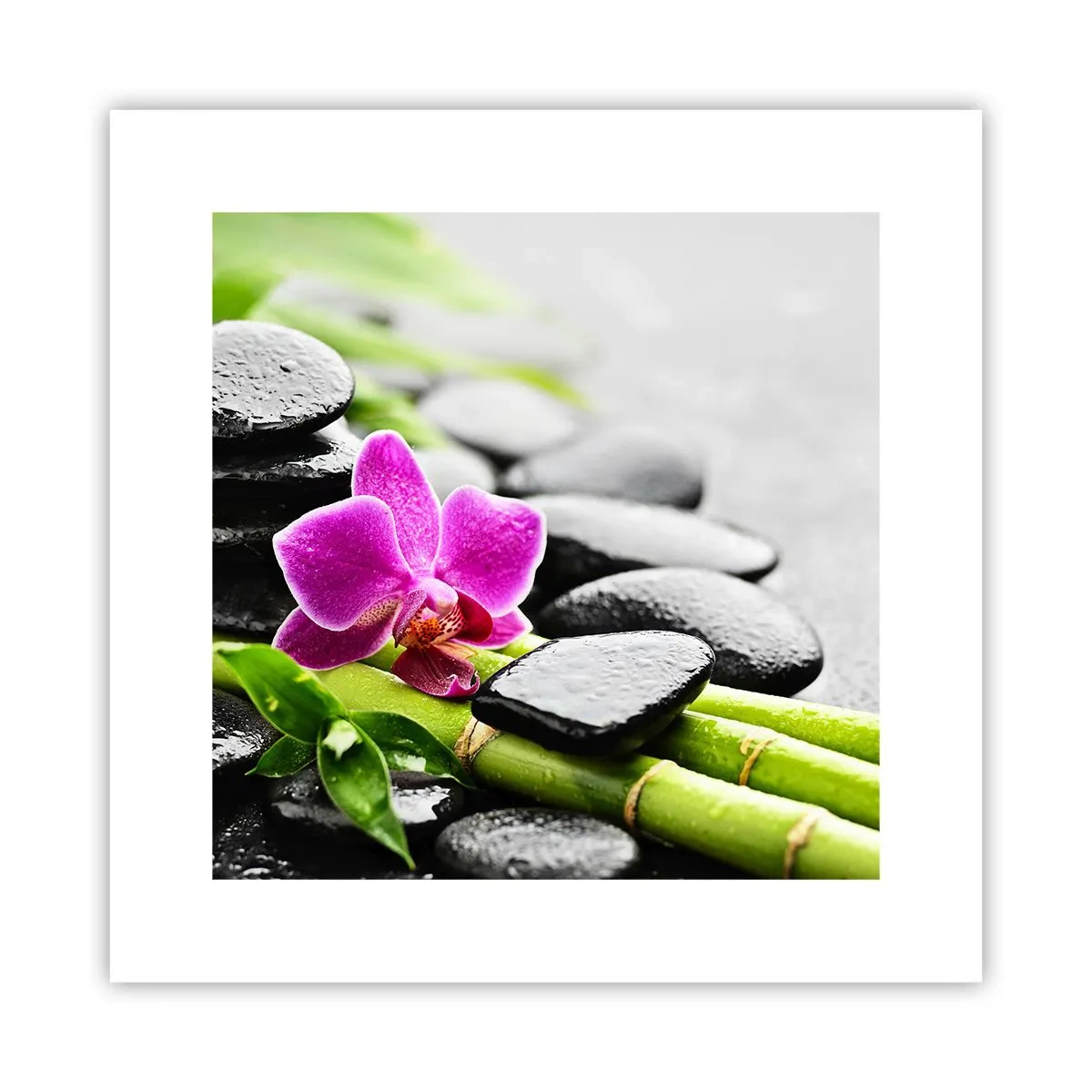 Poster - Un tranquillo equilibrio - 30x30 cm
