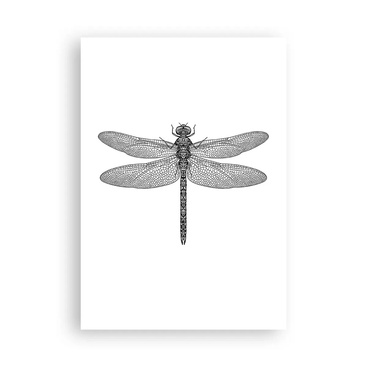 Poster - La precisione della natura - 70x100 cm