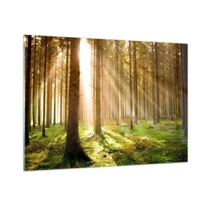 Quadro su vetro - Raggi di sole che penetrano attraverso gli alberi nella foresta - 100x70cm - Adesso appaiono gli elfi - Decorazione murale moderna per soggiorno e camera da letto ARTTOR