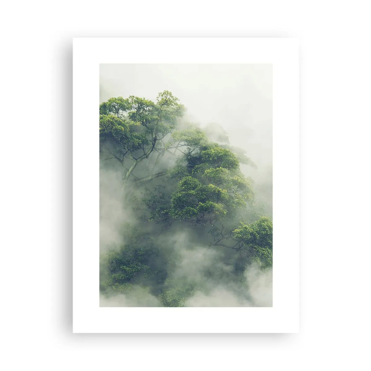 Poster - Avvolti dalla nebbia - 30x40 cm