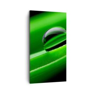 Quadro su tela - Stampe su Tela - La vita da vicino - 45x80 cm