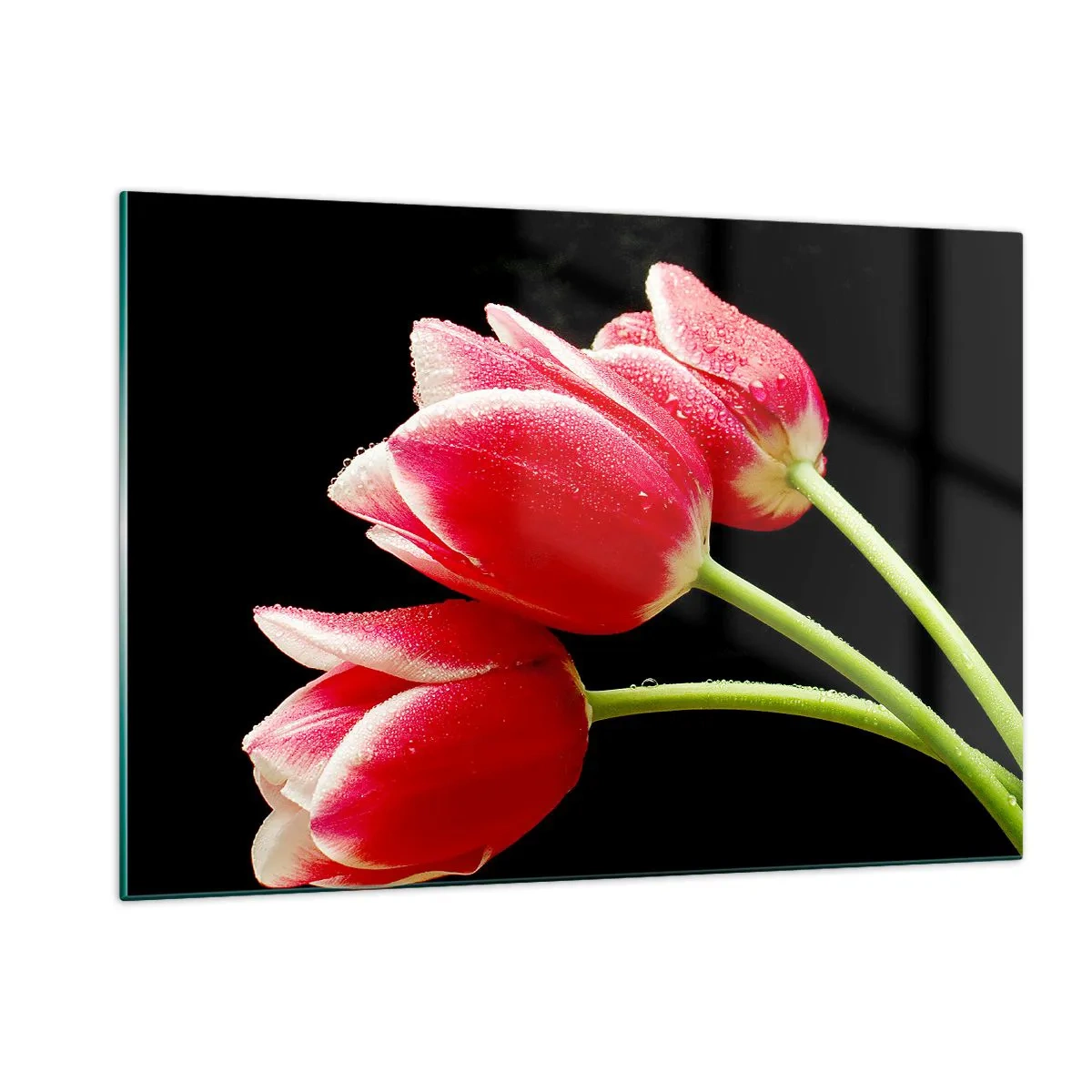 Quadro su vetro - Tulipani rossi con gocce di rugiada su sfondo nero - 120x80cm - Promessa di amore puro - Decorazione murale moderna per soggiorno e camera da letto ARTTOR