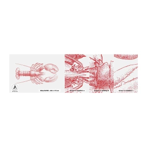 Campione di Fotomurale Adesivo Deluxe Sticker - Aragosta d'agosto - Aragosta, Frutti di mare, Crostacei - 100x30 cm