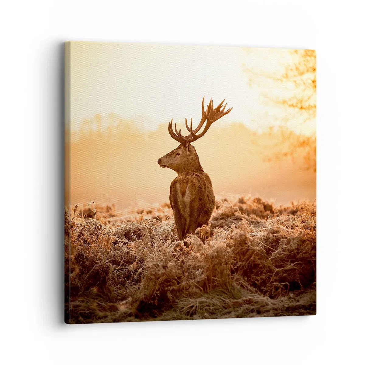 Quadro su tela - Stampe su Tela - Il signore sulle sue terre - 30x30 cm