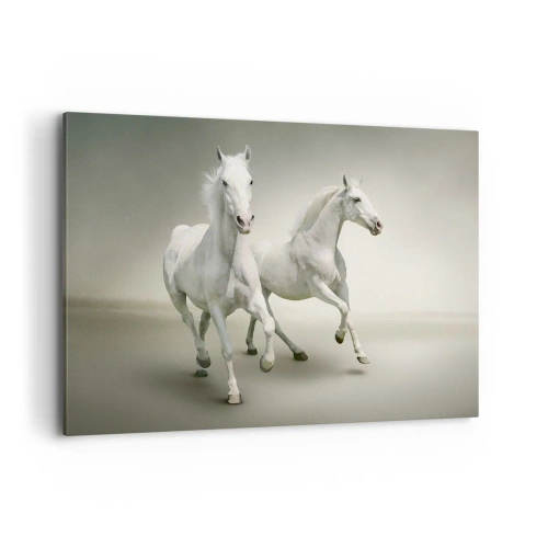 Quadro su tela - Stampe su Tela - Due cavalli bianchi al galoppo su uno sfondo chiaro - 120x80cm - White power! - Decorazione murale moderna per soggiorno e camera da letto ARTTOR
