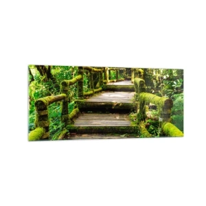 Quadro su vetro - Un ponte di legno ricoperto di muschio in una foresta pluviale tropicale - 120x50cm - Un corridoio nel verde - Decorazione murale moderna per soggiorno e camera da letto ARTTOR