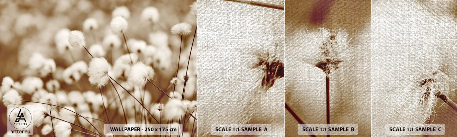 Campione di Fotomurale Premium Canvas - Campo di morbidezza - Fiore di cotone, Fiore, Ramoscello di cotone - 100x30 cm