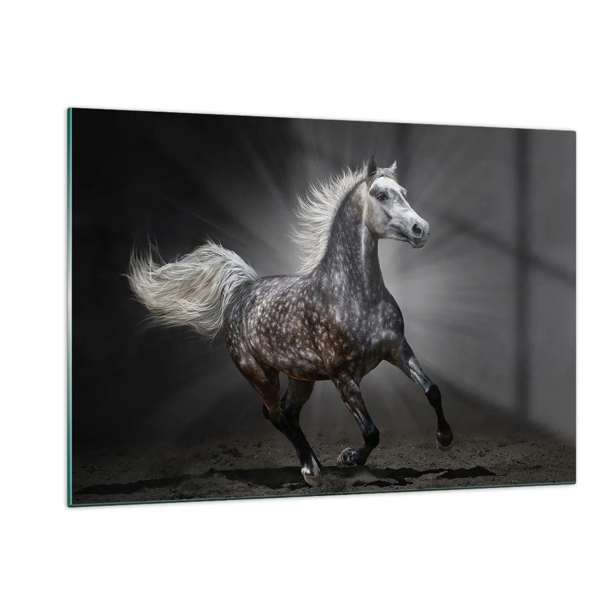 Quadro su vetro - Un cavallo al galoppo su uno sfondo scuro con effetto luminoso. - 120x80cm - Grigio è bello - Decorazione murale moderna per soggiorno e camera da letto ARTTOR