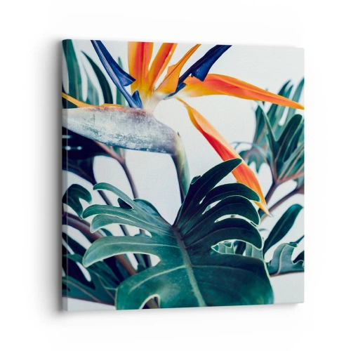 Quadro su tela - Stampe su Tela - Pianta uccello - 30x30 cm