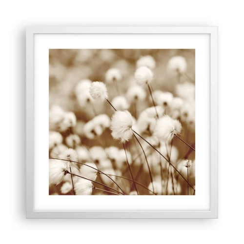 Poster in cornice bianca - Campo di morbidezza - 40x40 cm