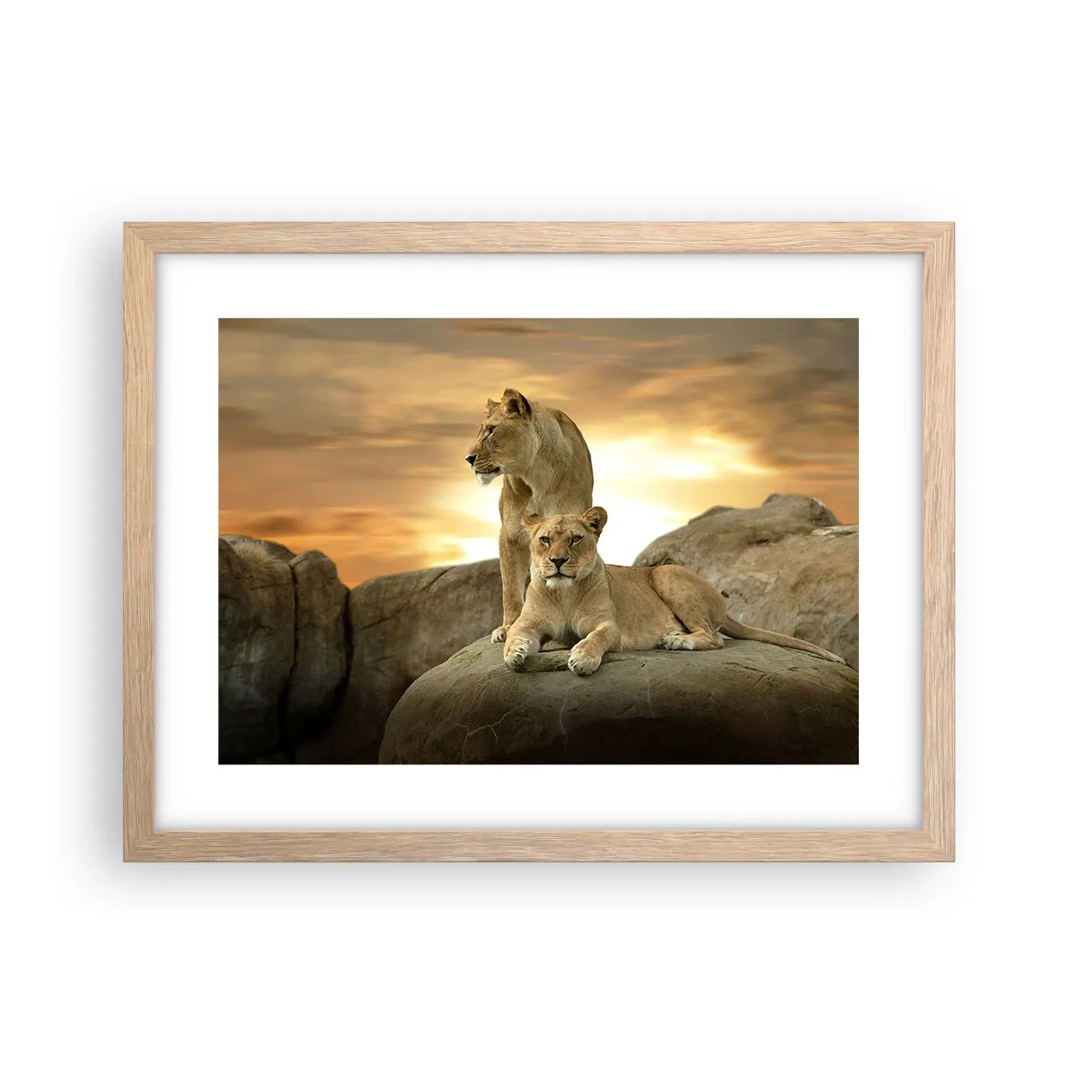 Poster in cornice rovere chiaro - Maestà reale - 40x30 cm