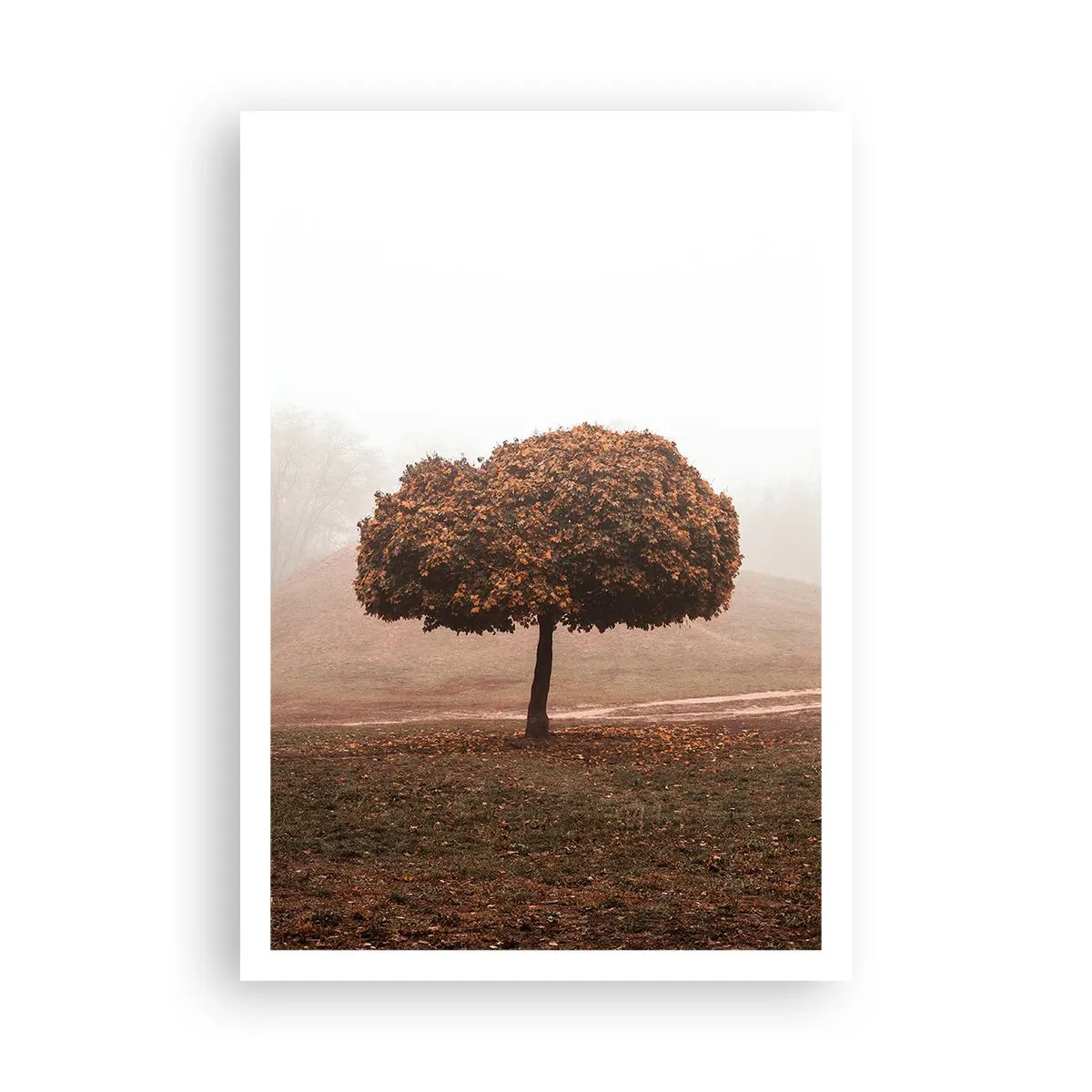 Poster - Dopo un'estate laboriosa - 70x100 cm