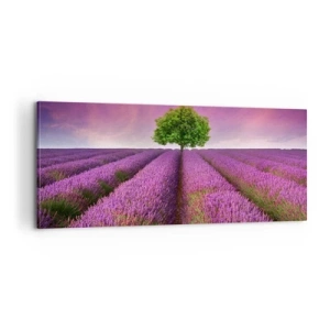 Quadro su tela - Stampe su Tela - Sui campi di lavanda - 100x40 cm