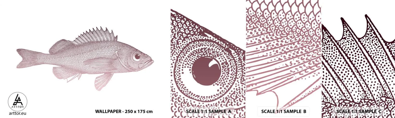 Campione Di Fotomurale Standard Eco - Il pesce dagli occhi enormi - Pescare, Sott'acqua, Minimalista - 100x30 cm