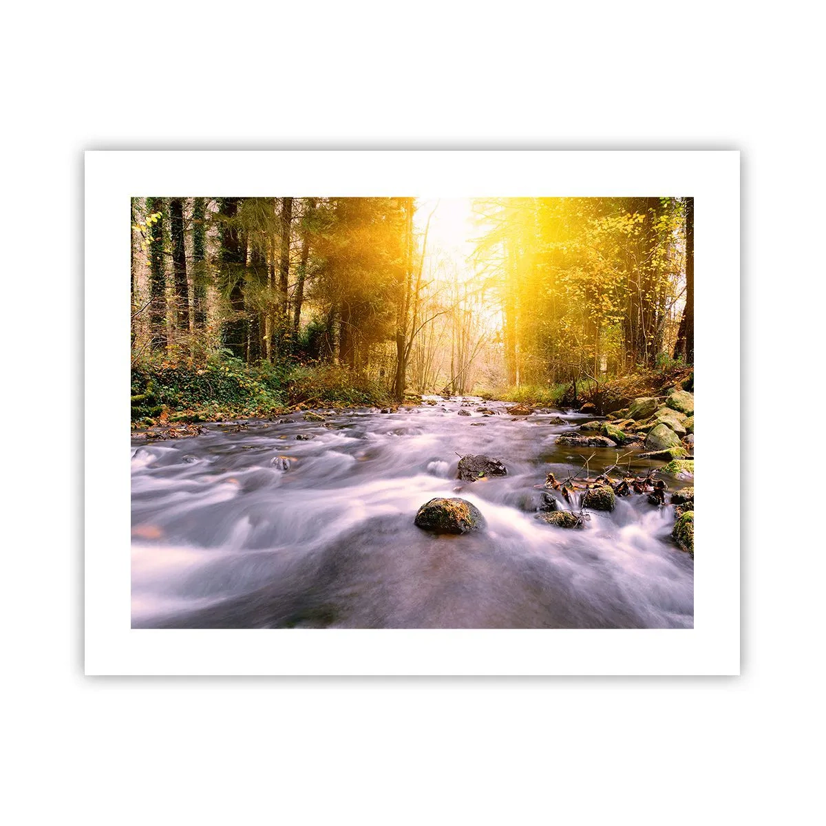 Poster - Malachite in cornice oro-argento - 50x40 cm