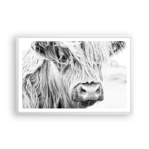 Poster in cornice bianca - Selvaticità scozzese - 91x61 cm