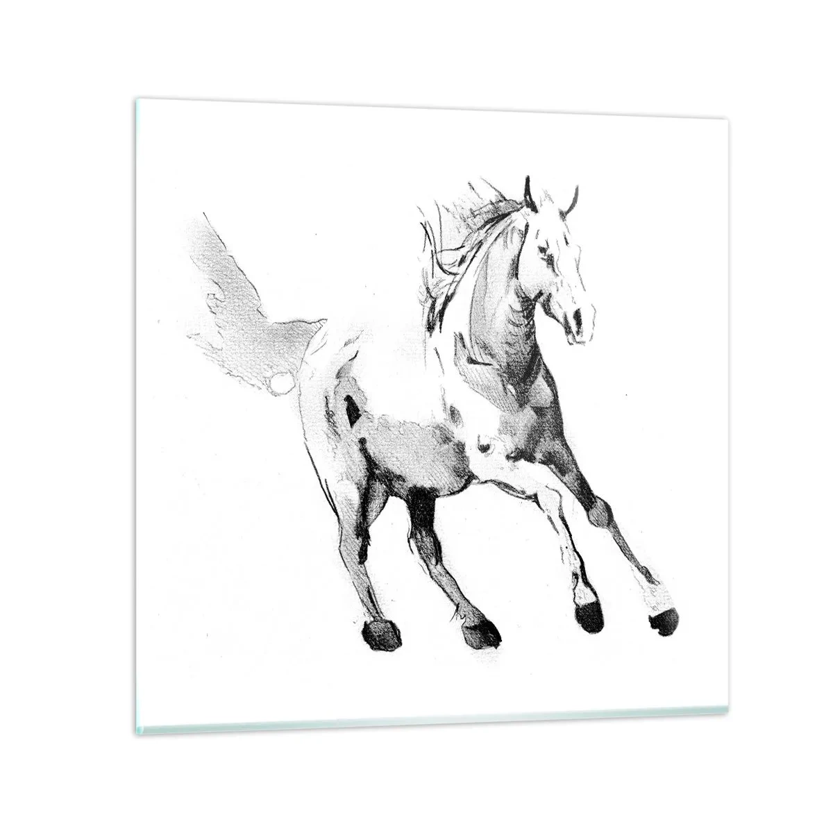 Quadro su vetro - Anima indomabile - 40x40 cm