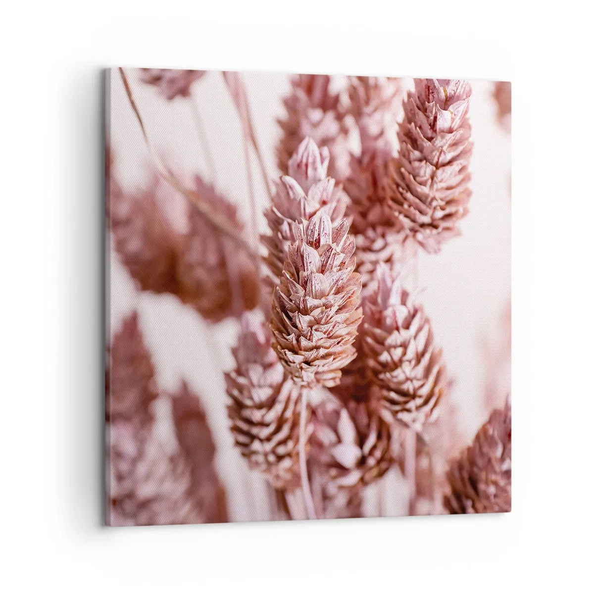 Quadro su tela - Stampe su Tela - A prima vista poco appariscenti - 50x50 cm