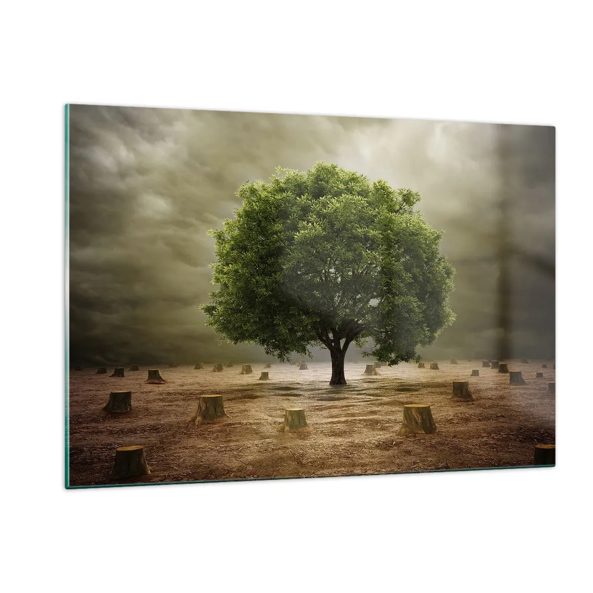 Quadro su vetro - Un albero verde circondato da tronchi contro un cielo cupo - 120x80cm - Ogni speranza - Decorazione murale moderna per soggiorno e camera da letto ARTTOR