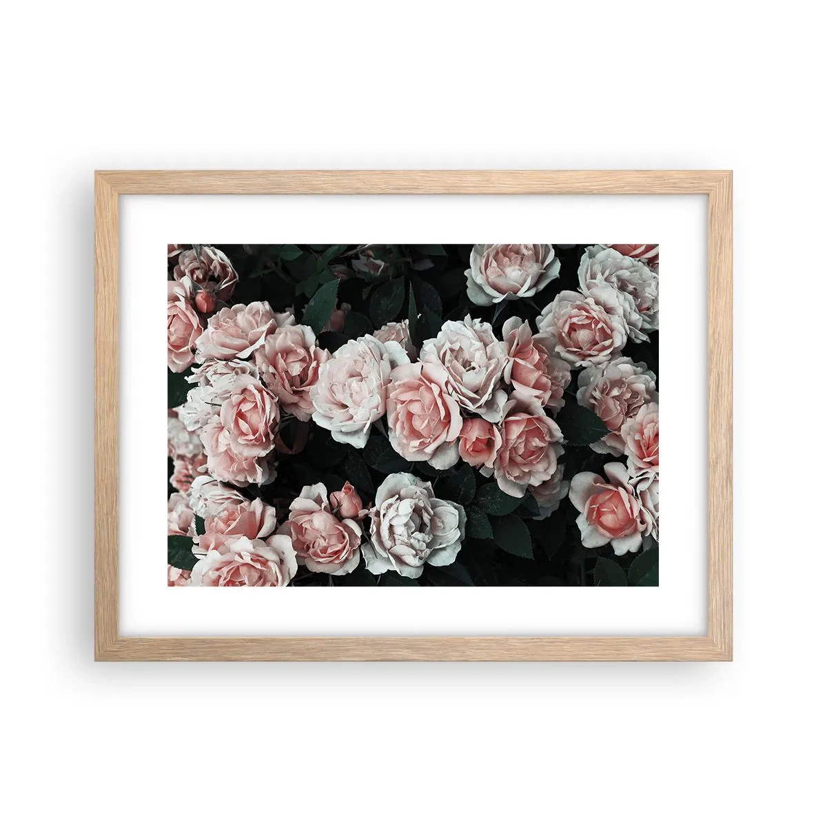 Poster in cornice rovere chiaro - Composizione di rose - 40x30 cm