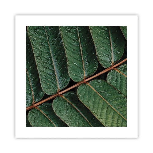 Poster - Al ritmo verde - 40x40 cm
